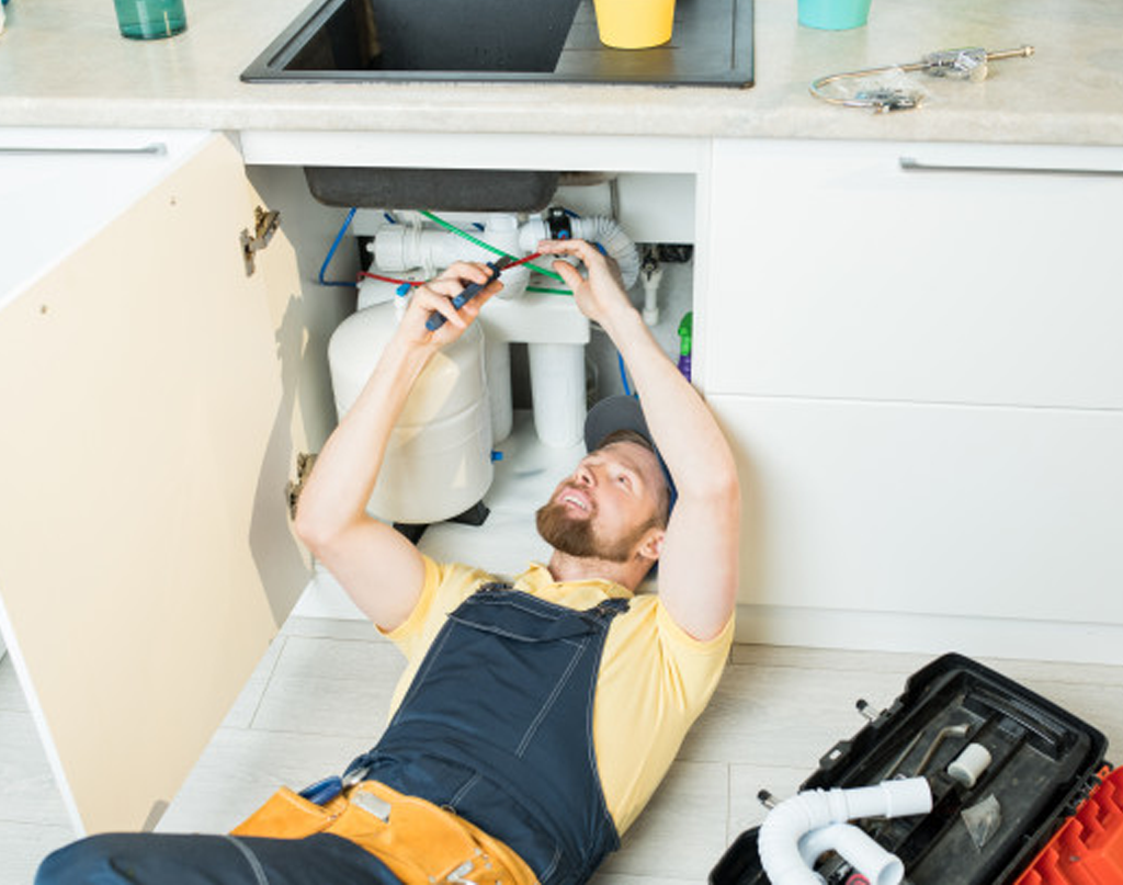 Take It Easy On Your Garbage Disposal This Holiday Season! Winter Drain Problems